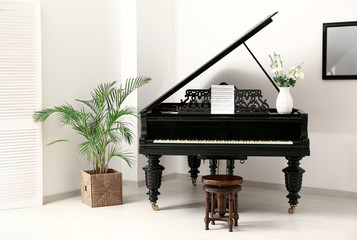 Black grand piano in interior of room