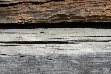 Old weathered log closeup in sunny day. Wooden background