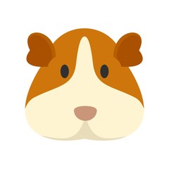 Cavy face icon. Flat illustration of cavy face vector icon for web design