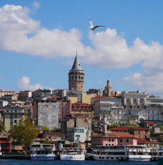 View from the coast to Istanbul and the Galata Tower