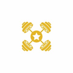 Fototapeta premium Star Barbell Gym Fitness Logo Design Modern Template
