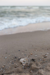 A small plastic cup on the seashore.