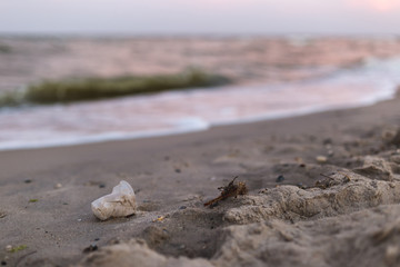 A small plastic cup on the seashore.
