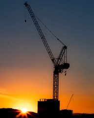 silhouette of crane at sunset