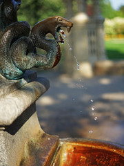 Mineral Snake Spring (Hadi Pramen), Karlovy Vary, Czech Republic