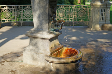The 15th mineral spring of Karlovy Vary known as Snake Spring (Hadi Pramen)