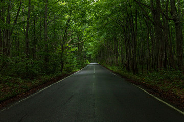  Towada Hachimantai National Park Summer