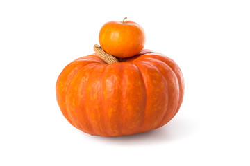 Two organic pumpkins isolated over white
