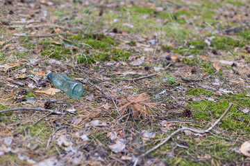 Glass bottle on the ground in a pine forest.