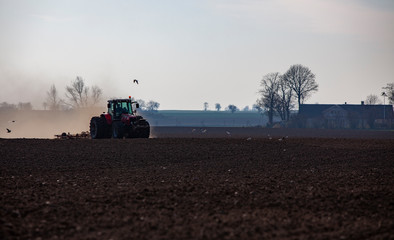 Fototapeta premium tractor plows the ground in backlight