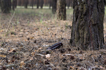 Brown glass bottle on the ground in a pine forest.