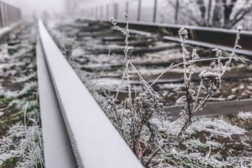 Rails in hoarfrost. Misty autumn morning.