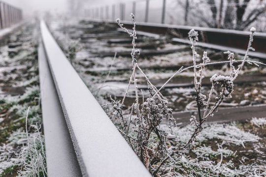Rails in hoarfrost. Misty autumn morning.