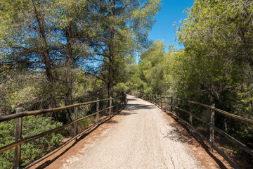 Obraz premium Road of the ebro greenway in Tarragona
