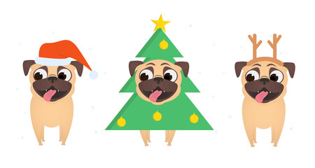 Set of smiling pugs dress up in christmas costume of Santa, xmas tree and Christmas deer. Stylish  Christmas and New year apparel collection for dog. Funny vector cartoon flat illustration.