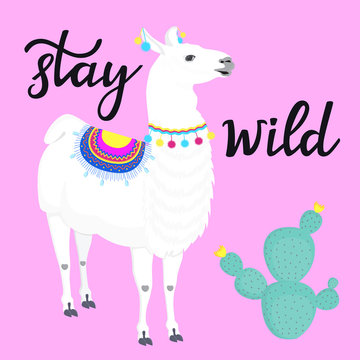 Stay wild hand drawn lettering. Adorable llama. Funny guanaco and cactus