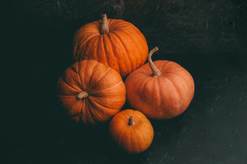 Photo of four orange pumpkins on black background, halloween celebration, space for inscription.