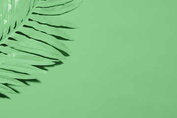 Fototapeta na wymiar Green background with leaf and copyspace