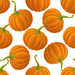 Seamless pattern with pumpkins on a white background. Nature background.