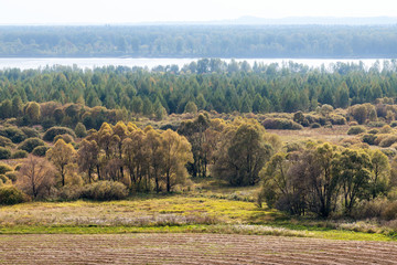 Autumn forest and harvested field. View from above.