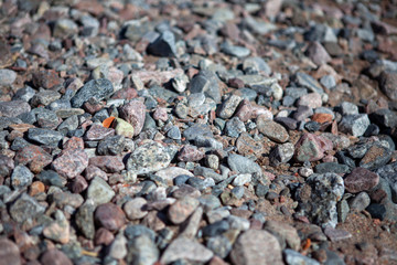 gravel ground