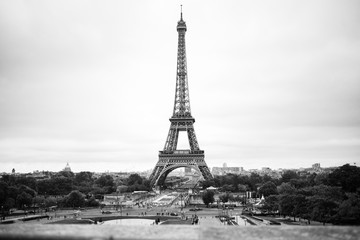 Black and white, Eiffel tower, Paris