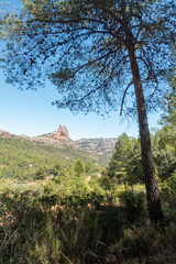 Mountains in the prat de comte de Tarragona