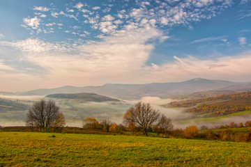 Naklejka premium Amazing autumn morning in the Carpathian mountains