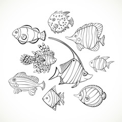 Set of hand-drawn exotic fish. Vector graphics. Set doodle fish . - 290231680