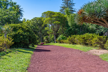Garden in the City of Ponta Delgada, Azores