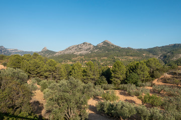 Fototapeta na wymiar Mountains in the prat de comte de Tarragona