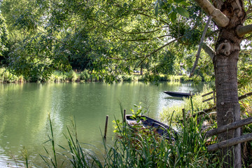 Coulon. Paysage sur la Sèvre niortaise. Poitou-Charentes. Deux Sèvres	