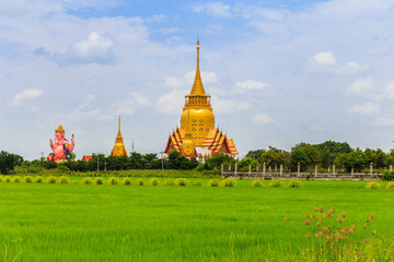 Naklejka premium thai temple and cornfield Phrong Akat Temple Chachengsao In Thailand
