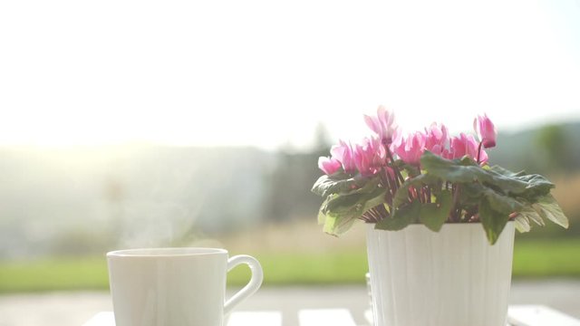 Backlit handheld shot of a piping hot cup of coffee or tea in a coffee shop in the morning sun. Pink flowers on the white shabby table neat the mug. Cafe in the park in the morning.