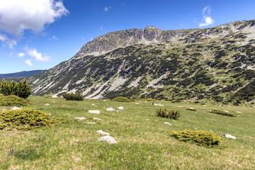 The Fish Lakes (Ribni Ezera), Rila mountain, Bulgaria