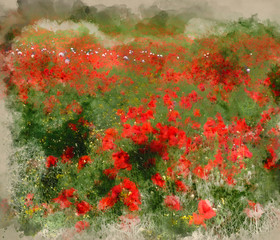 Digital watercolor painting of Stunning poppy field landscape
