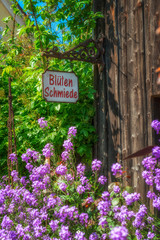 Bunter Blumenladen 247715
