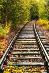 Obraz premium Bahnschienen im Herbst 815416