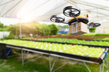 Hydroponics vegetables farming drone at indoors modern farm background. Service for delivery shipping healthy organic product and goods to customer. Business and farming innovative technology gadget