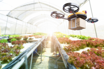 Fototapeta na wymiar Hydroponics vegetables farming drone at indoors modern farm background. Service for delivery shipping healthy organic product and goods to customer. Business and farming innovative technology gadget