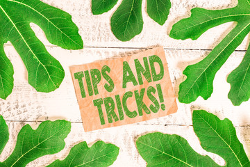 Word writing text Tips And Tricks. Business photo showcasing means piece advice maybe suggestion...