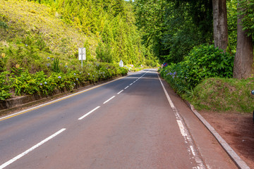 Obraz premium Typical landscape of the Seven Cities, Azores