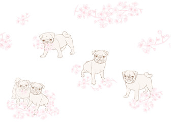 Obraz premium pug sakura patt 1