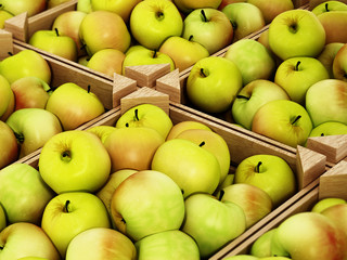 Fresh newly harvested apples inside crates. 3D illustration