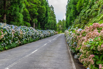 Typical landscape of the Seven Cities, Azores