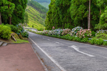 Typical landscape of the Seven Cities, Azores