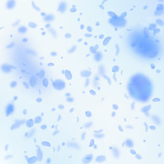 Dark blue flower petals falling down. Fascinating 