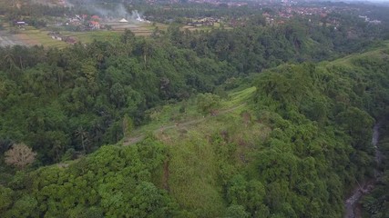 Aerial: Above Campuhan Ridge Walk in Ubud, Bali island, Indonesia