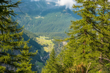 Fototapeta na wymiar Alpjen, Gondo, Suiza