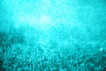 Abstract colorful toned grass in drops of dew. Bright grass and drops of morning fresh dew. Magic background. Alien mythical landscape of light blue.